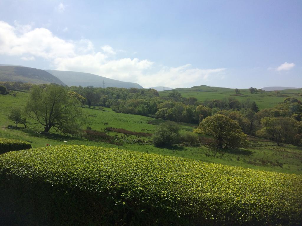 Rhiwiau Guesthouse Llanfairfechan Eksteriør bilde